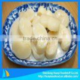 Manufacture of High Quality Frozen Fresh Comb Pen Shell thumbnail-1