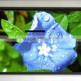 Good Quality And Transparent Projection Screen Pvc Screen Fabrics thumbnail-2