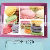 Plastic Serving Tray