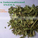Stevia Rebaudiana / Stevia Leaf / Stevia Leaf T Cut thumbnail-6
