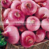 Fresh Onion in 10kg Mesh Bag Package.MOQ:1X40FCL. thumbnail-1