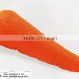 2012 Hotsale Farm Fresh Carrot thumbnail-1