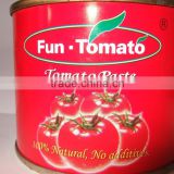fresh Tomato Paste