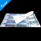 Glossy PET Film for Screen Printing Hot Sale thumbnail-3