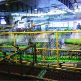 Belt or Chain Coveyor System for Beverage Production Line(energy Drink, Juice) thumbnail-1