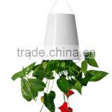 New Arrival Hanging Flower Pot Sky Planter Upside-Down Plant Pot Fashion Sky Planter thumbnail-2