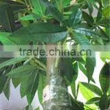Home Garden Creepers Decoration 180cm Height Artificial Green Pachira Aquatica Tree EFCS05 2902 thumbnail-5