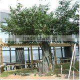2017 Hot Sale Manufacture Cheap Artificial Banyan Tree,ficus Tree