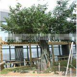 2017 hot sale manufacture cheap artificial banyan tree,ficus tree