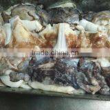 Frozen Giant Squid Neck thumbnail-2