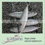 Cheap Wholesale Frozen Mackerel Prices Lot Number#kmw4053 thumbnail-1