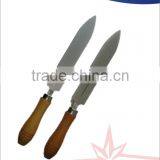 Excellent Diamond Knife Type Sharpener With Handle