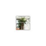 Wholesale Plastic Wood Fiberglass Outdoor Artificial Mini Palm Trees thumbnail-5