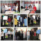 High Quality Commercial Rolled Sugar Cone Making Machine for Sale thumbnail-2