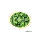 Sell IQF Broccoli thumbnail-1