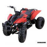 CK150S-3G ATVs thumbnail-1