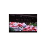 High-Definition P5 Indoor Full Color Led Display For Entertainment Center , 160*160mm