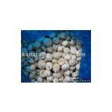 Frozen Mushroom thumbnail-1