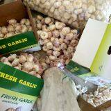 Loose Packing 5.5-6cm Fresh Red Garlic Produced In Jinxiang Shandong China