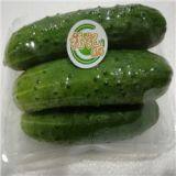 DONGJIAKOU PORT SHIP CHANDLER SHIPCHANDLER IN CHINA thumbnail-2