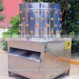 Машинка для опилки кур с низкой ценой/Машинка для опилки домашней птицы