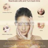 Portable Galvanic Micro Current Facial Wrinkle Removal/ Anti-aging Beauty Machine thumbnail-4