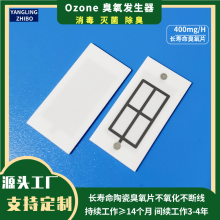 Ceramic Ozone Plates Long Life Ceramic Ozone Plates Ozone Ceramic Tablets Ozone Generator Air Purifier Can OEM or ODM thumbnail-2