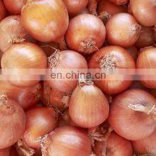 Sinocharm Frozen Vegetable Red Onion Yellow Onion Peeled Frozen Fresh Onions for Sale thumbnail-3