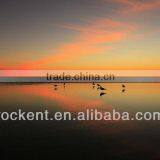 Canon EF-S 10-22mm F3.5-4.5 USM thumbnail-3