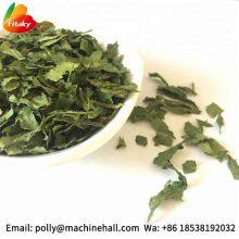 High Quality Organic Dried Celery Flakes Wholesale Price thumbnail-3