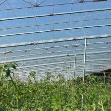 Qingtian Blue High Impact Resistance 200micron Plastic Reinforced Film for Greenhouse Po Film thumbnail-5