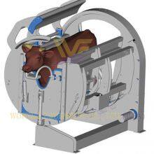 High Efficiency Automatic Halal Cattle Slaughtering Equipment Slaughtering Box Cattle Slaughter Production Line thumbnail-3