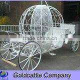 Clear Polycarbonate Wedding Carriage thumbnail-1