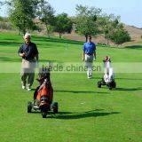Portable Electric Golf Trolley With CE DG12150-D thumbnail-3