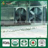 Dried Shiitake Mushroom 1kg,Mushroom Spawn for Sale,Mushroom Champignon thumbnail-5