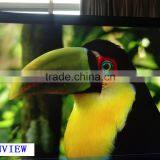 Big Screen Multi Media Flat Panel