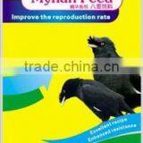 Hot Sale Pet Bird Food Production Equipment thumbnail-2