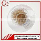 Customized Design Glass Christmas Tree With Factory Outlet Price thumbnail-5