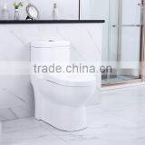 YOLAM Sanitary Ware New Style Siphonic One Piece wc Toilet thumbnail-1