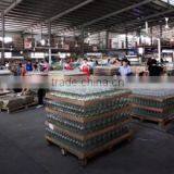 Xuzhou Dingshun Glassware Co., Ltd. company overview - view 1 thumbnail