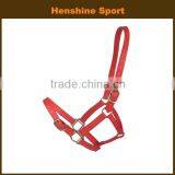 Colorful Leather Horse Halter thumbnail-1