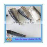 Complete Skin 425 Grams Canned Mackerel Fish in Brine(ZNMB0023)