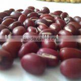 Adzuki Bean, 2010 Crop, Heilongjiang Origin. Hps , Polished thumbnail-1