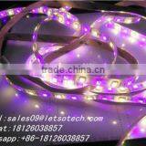Top Selling Good Quality Digital White+rgb Waterproof IP65 60leds/meter SMD5050 Flexible Professional RGBw Led Strip 5050 Rgbw