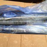 Wholesale Whole Round Spanish Mackerel Fish On Sale thumbnail-4