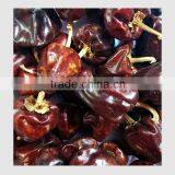 Round Chilli From SouthIndia thumbnail-1