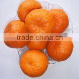 New Fresh Mandarin Orange Price With Good Quality
