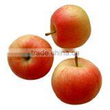 Delicious Fuji Apple thumbnail-1