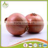 Fresh Red Onion Yellow Onions thumbnail-2