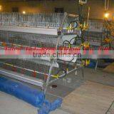 TAIYU-3 Automatic Broiler Raising Cage thumbnail-1